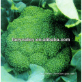 Planting Chinese F1 Hybrid Broccoli Seeds-High Yield High Popular In Market